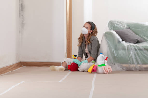 Reliable Basement Mold Remediation contractor in Emmitsburg, MD by Mold Remediation HQ